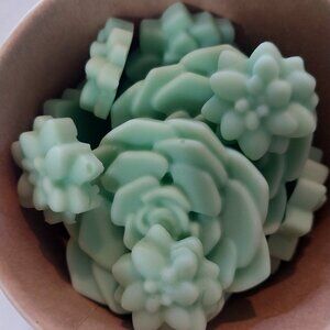 Orchid-n-Seasalt Wax Melts